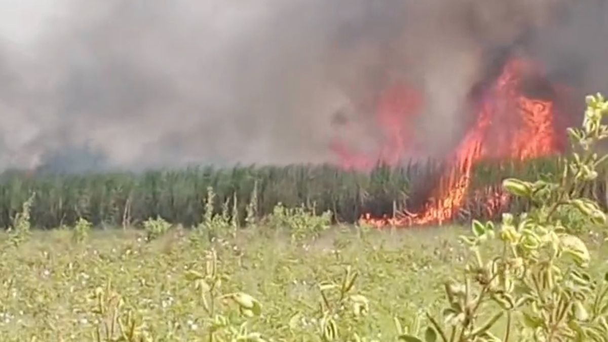 भीषण आग का मंजर