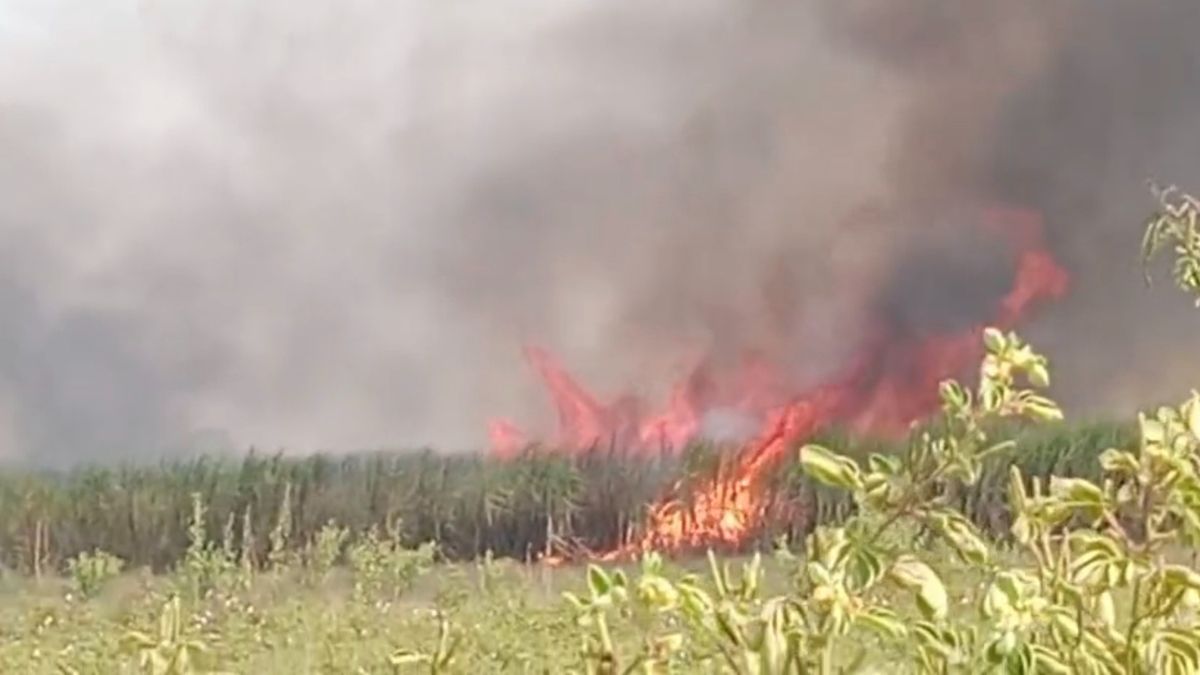 किसानों का भारी नुकसान