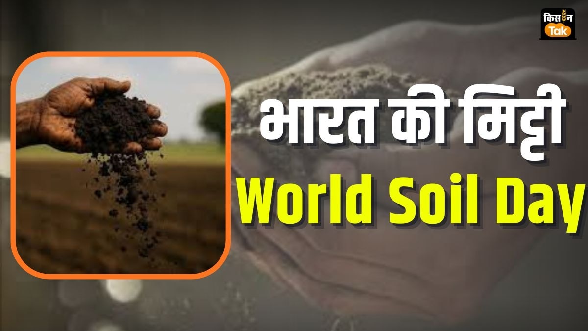 भारत की मिट्टी