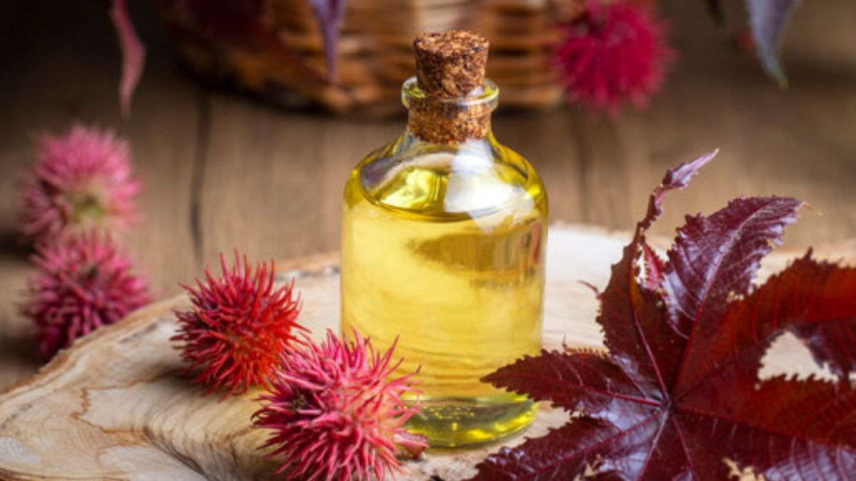 बंजर जमीन को उपजाऊ बनाने वाली सुपर पत्ती