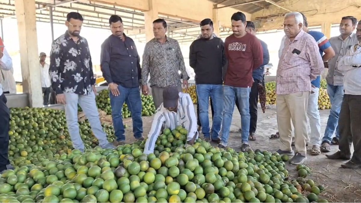 मंडी में कोहराम: जालना की मौसंबी को मिल रहा सबसे कम दाम, संकट में किसान 