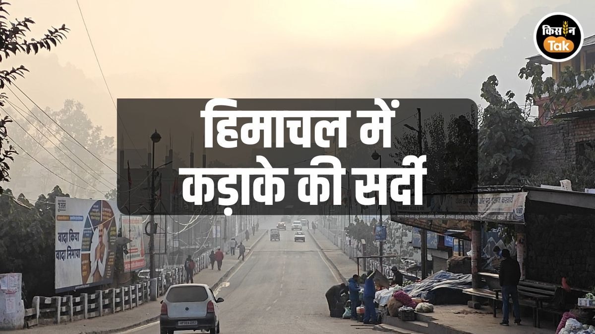 PHOTOS: कोहरे-धुंध और कड़ाके की सर्दी से कांपा हिमाचल, अब बस बारिश की दुआ