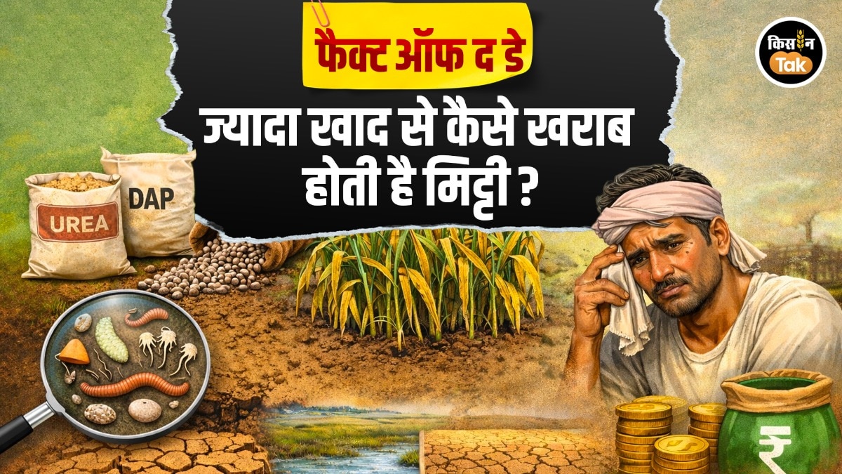 Excess Fertilizer Destroys Soil Health