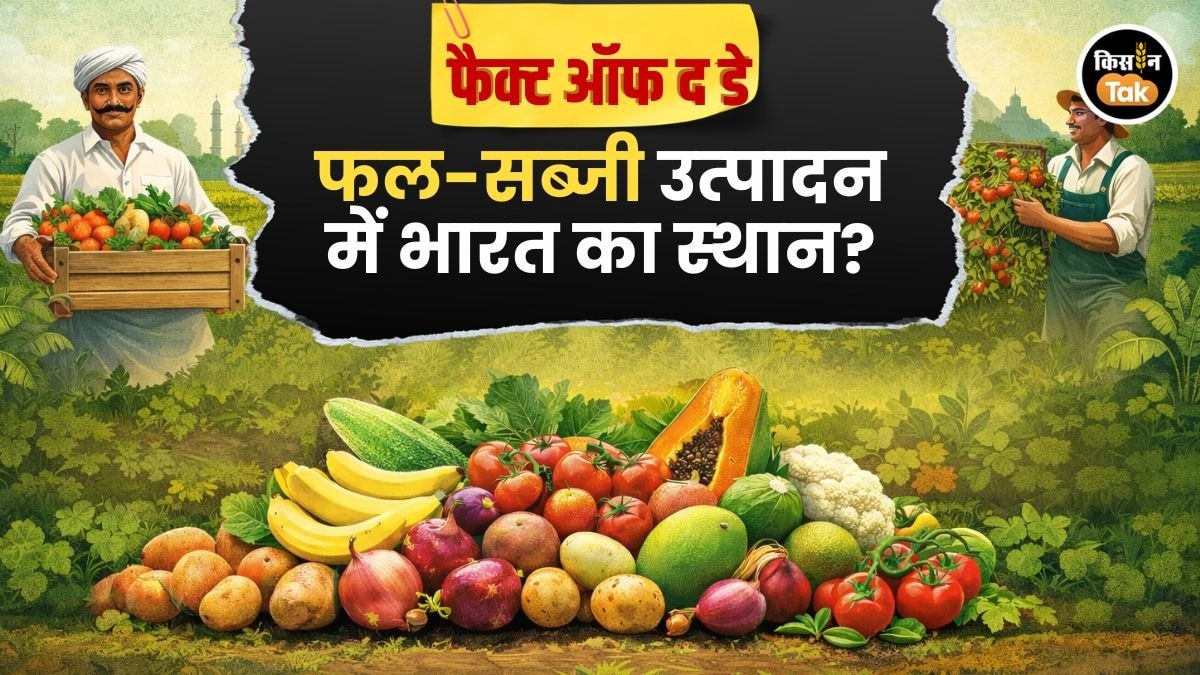 Fruit Vegetable Production India Fact of the day