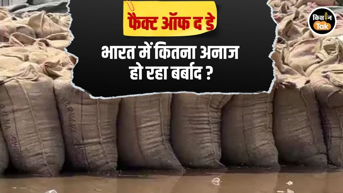 FoodGrains Wastage India