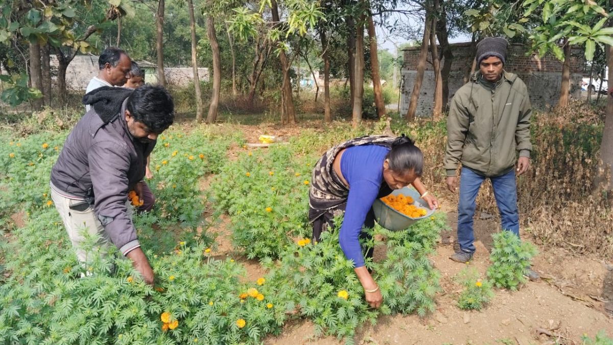 इस साल बारिश ने बिगाड़ा खेल