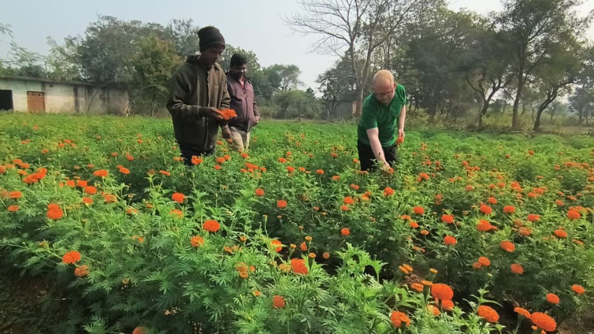 मेहनत रंग लाई-खेतों में खिल उठी खुशियां