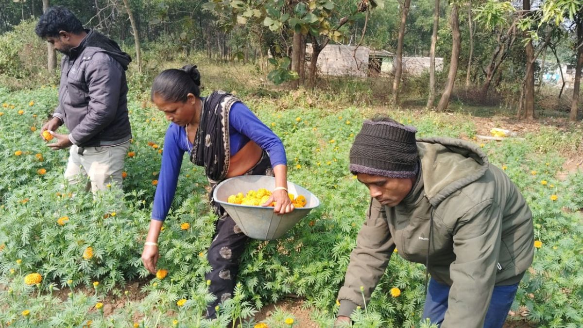 उत्पादन से नुकसान की भरपाई की उम्मीद