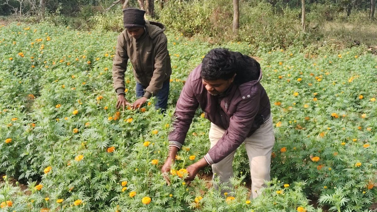 किसानों की बात-हिम्मत और मेहनत ही असली ताकत