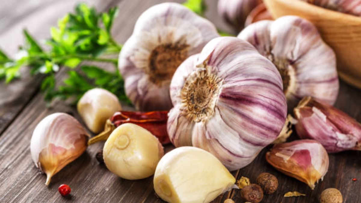 लहसुन- किसानों का “सफेद सोना”