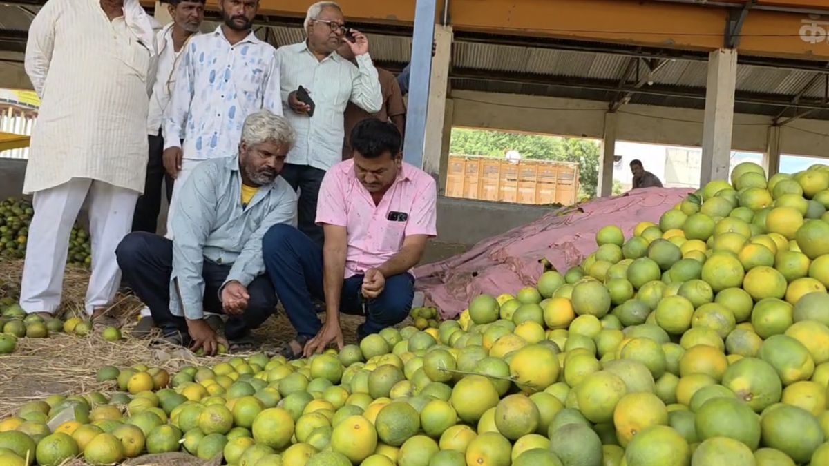 जालना की मौसंबी को बड़ा झटका