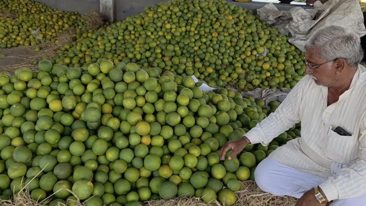 8 हज़ार रुपये प्रति टन की भारी गिरावट