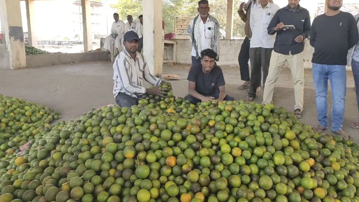 पिछले साल और इस साल के दामों में बड़ा अंतर