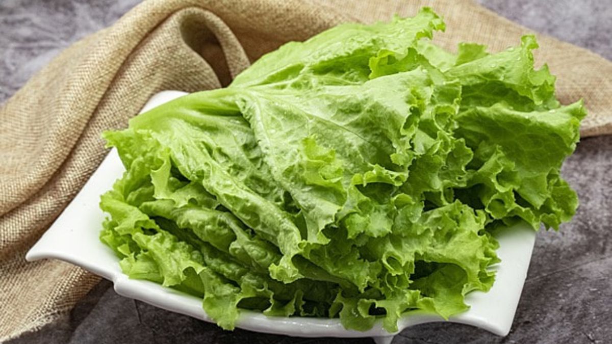 महंगा सलाद छोड़ो, घर पर उगाओ!
