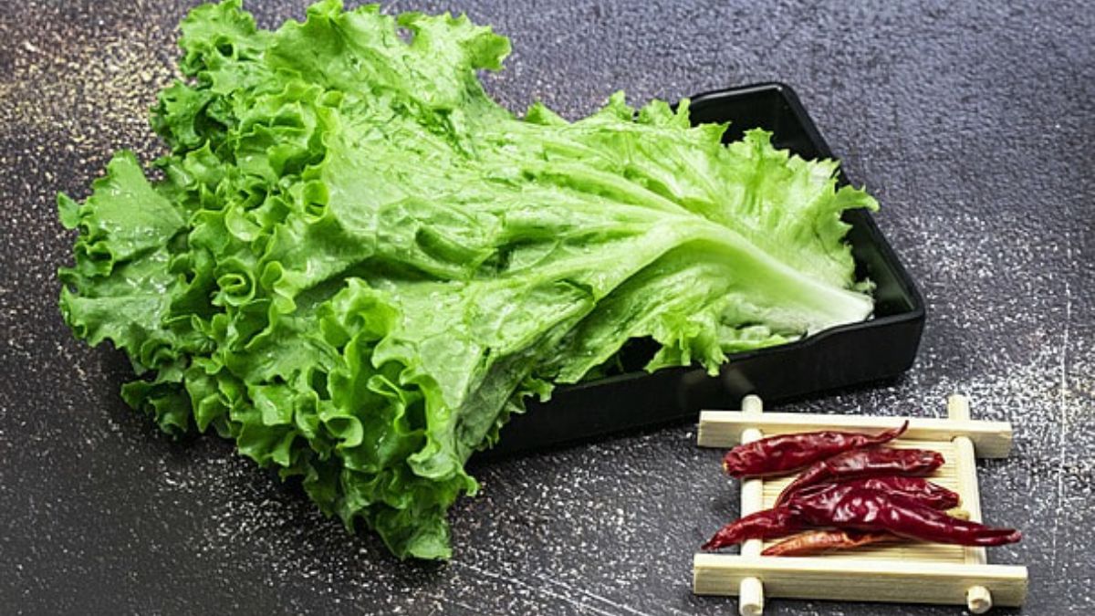 पानी और धूप का ध्यान