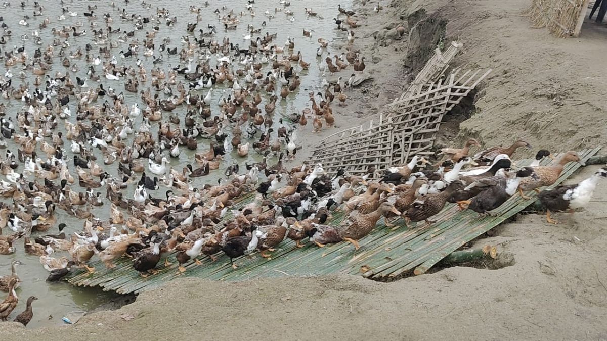 आरव का परिवार और पृष्ठभूमि