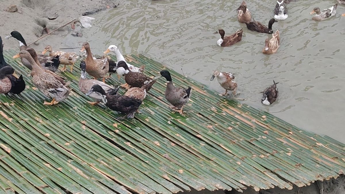 आज की सफलता