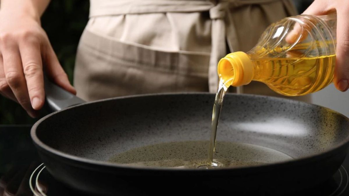 Olive Farming Benefits