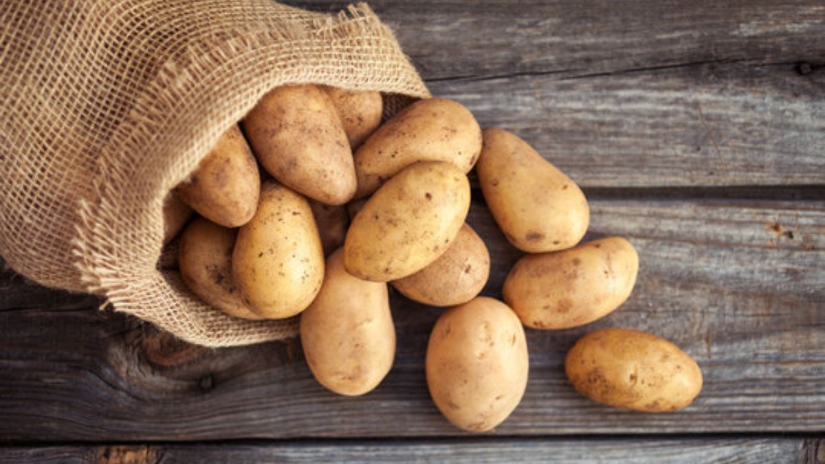 घर पर उगाएं ताज़े आलू