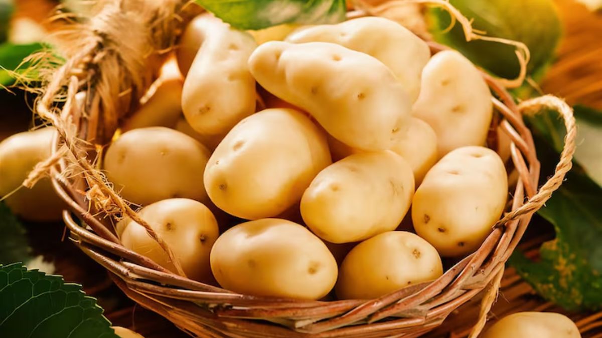 सही मौसम का चयन