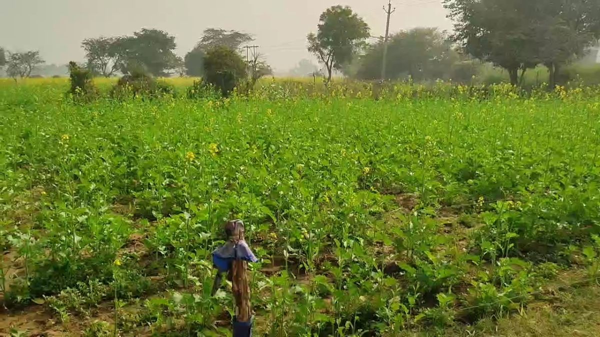 मुआवजे का इंतजार