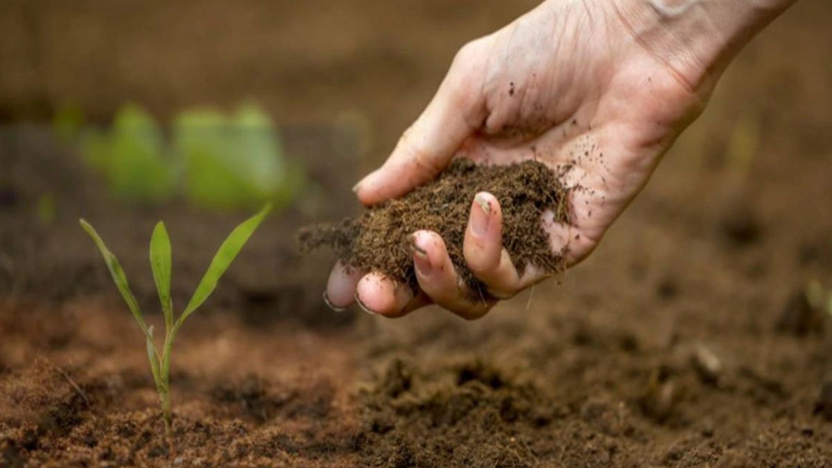 पानी रोकने की क्षमता होती है खत्म