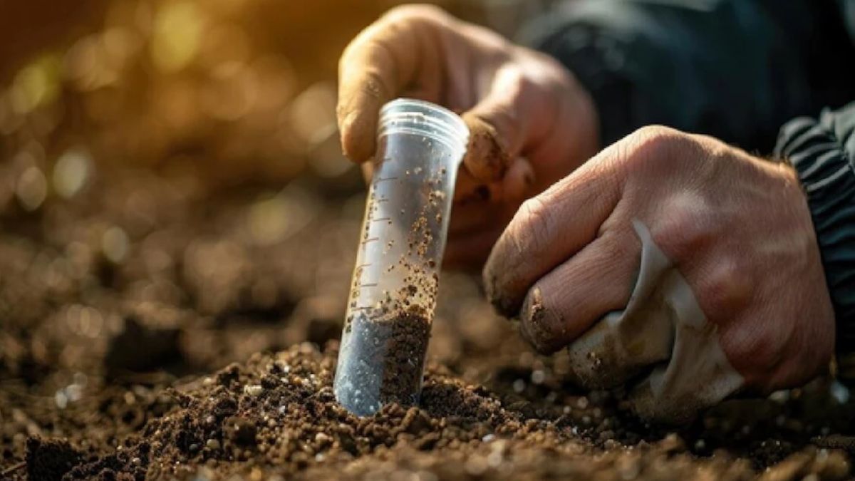 मिट्टी को ऐसे बनाए स्वस्थ्य