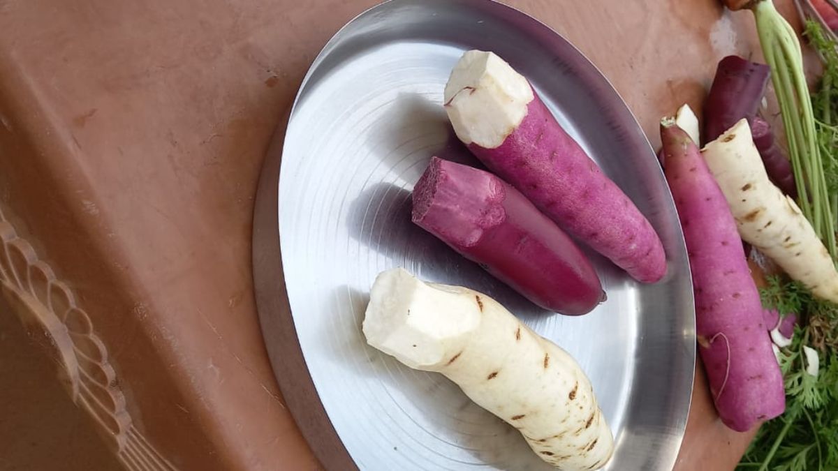 तपते रेगिस्तान में खेती की नई कहानी