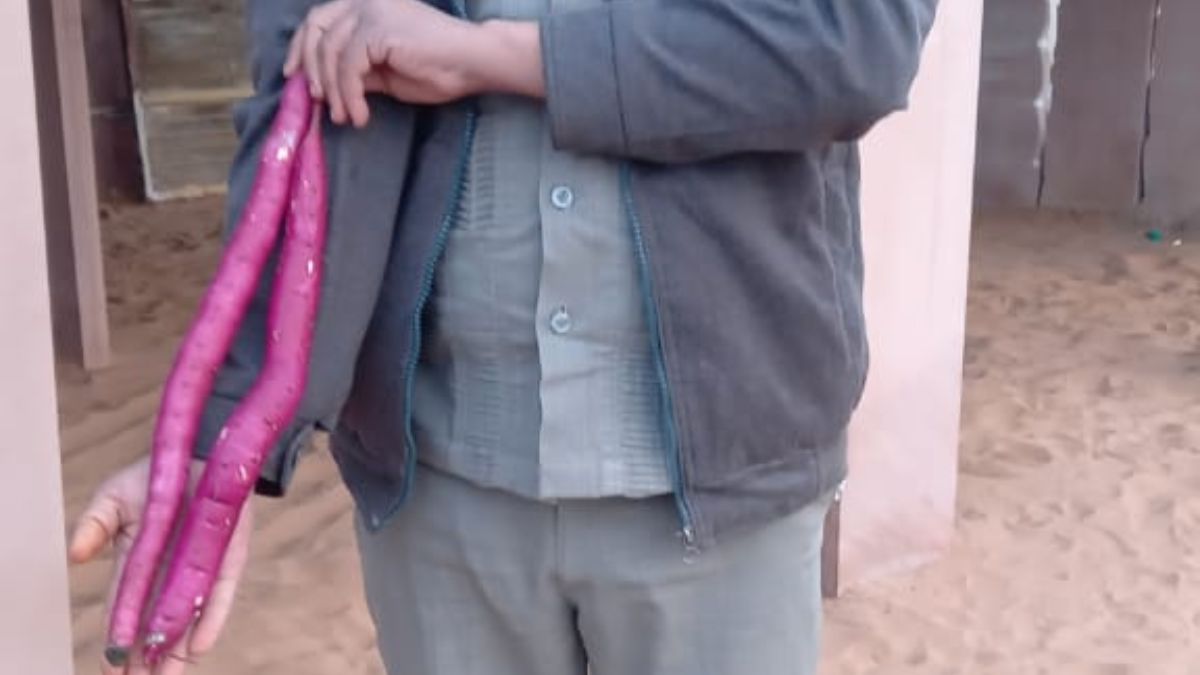 थार मधु – मिठास और सेहत का संगम