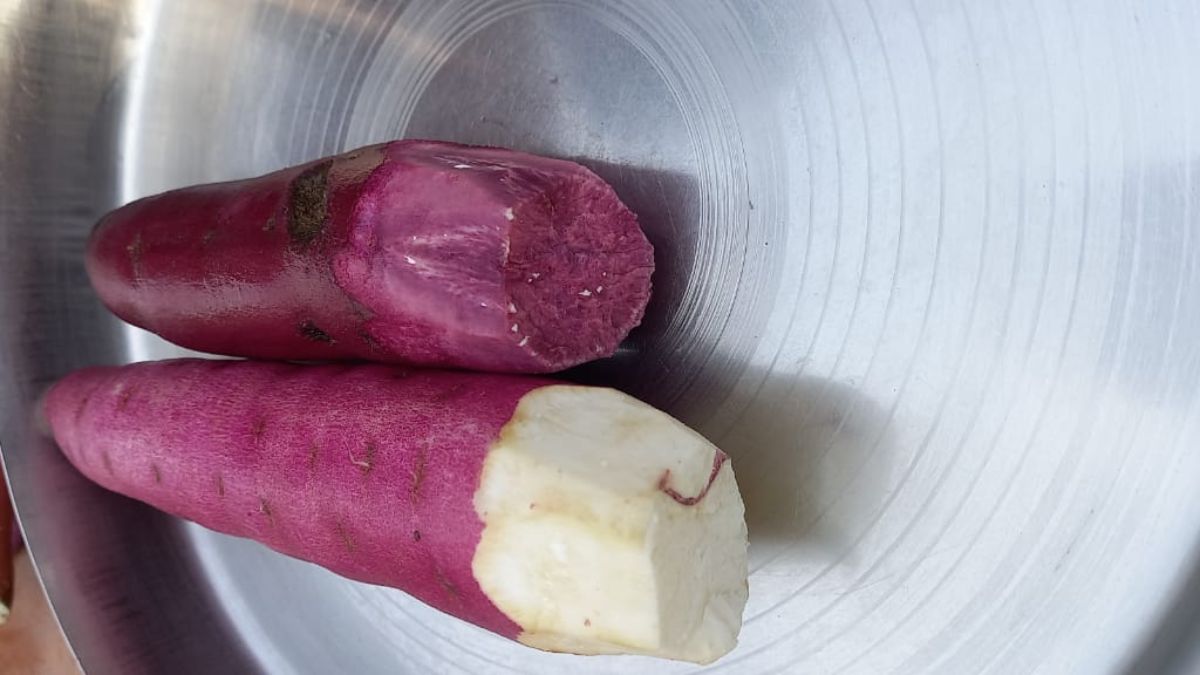 खेती में नई उम्मीद और प्रेरणा