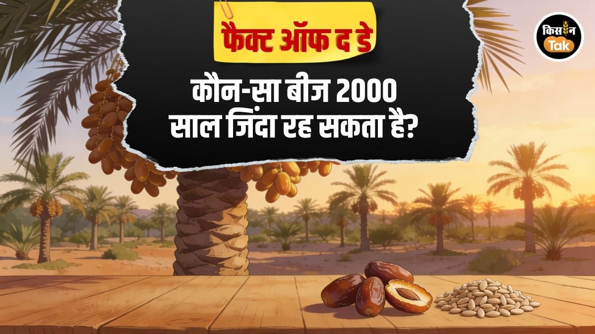 Fact Of The Day: किस पौधे का बीज 2000 साल तक जिंदा रह सकता है? जानिए रोचक तथ्‍य