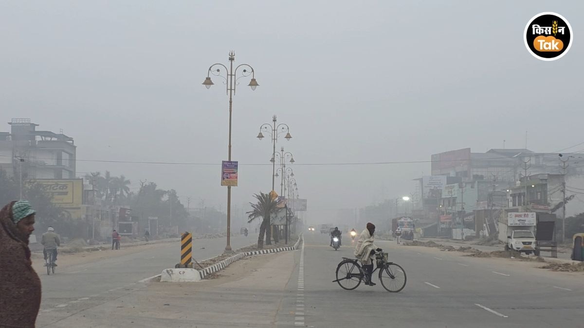 कांप उठा उत्तर प्रदेश, शीतलहर और कोहरे ने थाम दी ज़िंदगी की रफ्तार, देखें PHOTOS