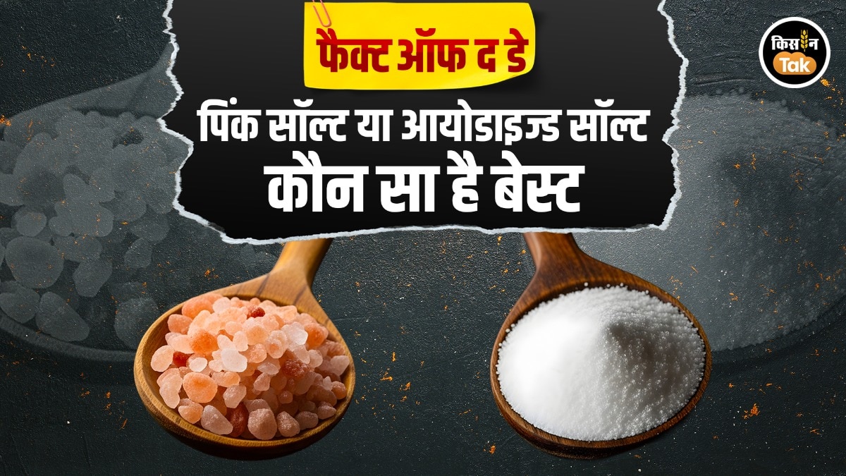 Fact of The Day: पिंक सॉल्ट या रेगुलर नमक? जानिए सेहत के लिए कौन है बेहतर