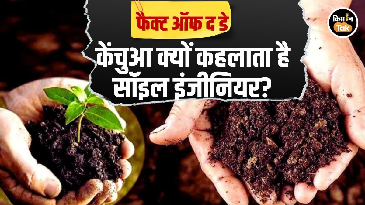 Fact Of The Day: 'मिट्टी का इंजीनि‍यर' कहलाता है केंचुआ, किसानों के लिए नेचुरल टिलेज मशीन का करता है काम