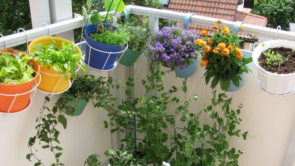 home_gardening