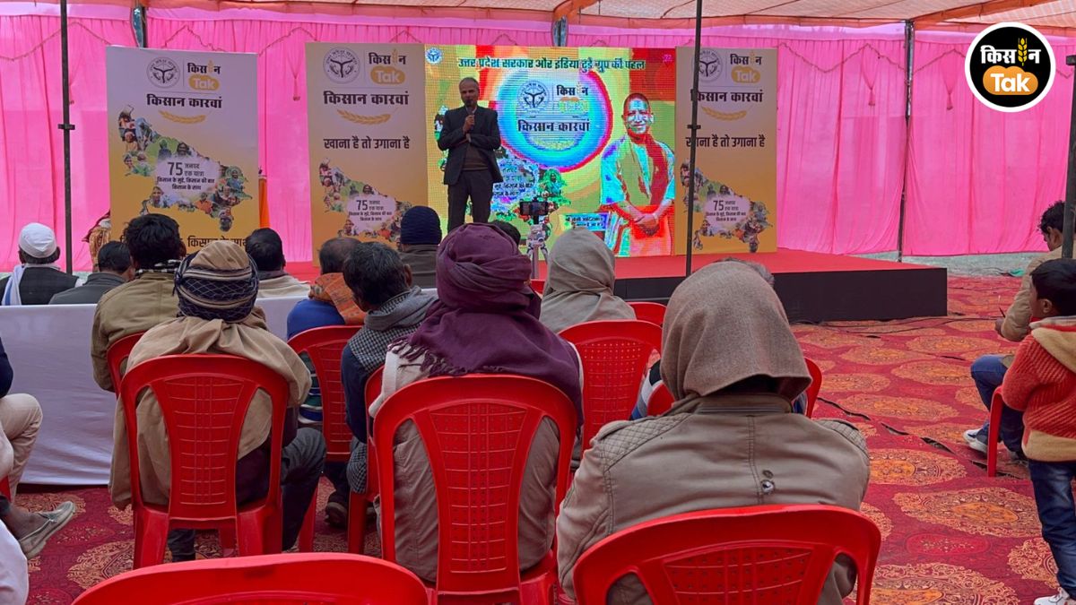 कार्यक्रम की संरचना और चरण