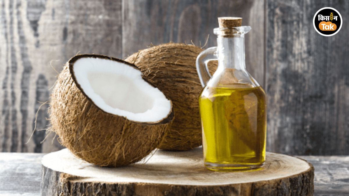 नारियल तेल से होंठ मुलायम करें