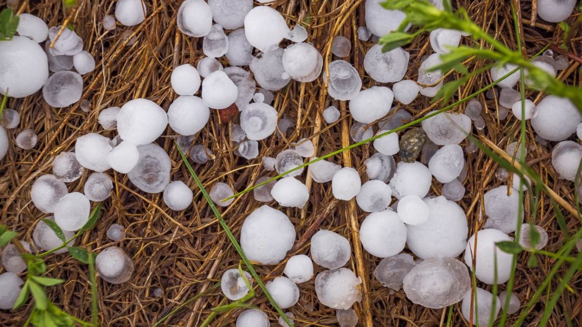 मौसम क्यों बदल रहा है