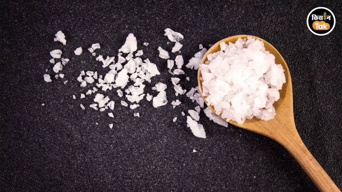कौन सा नमक लें?