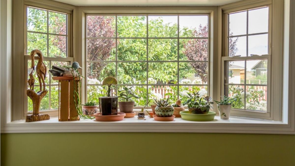window_garden