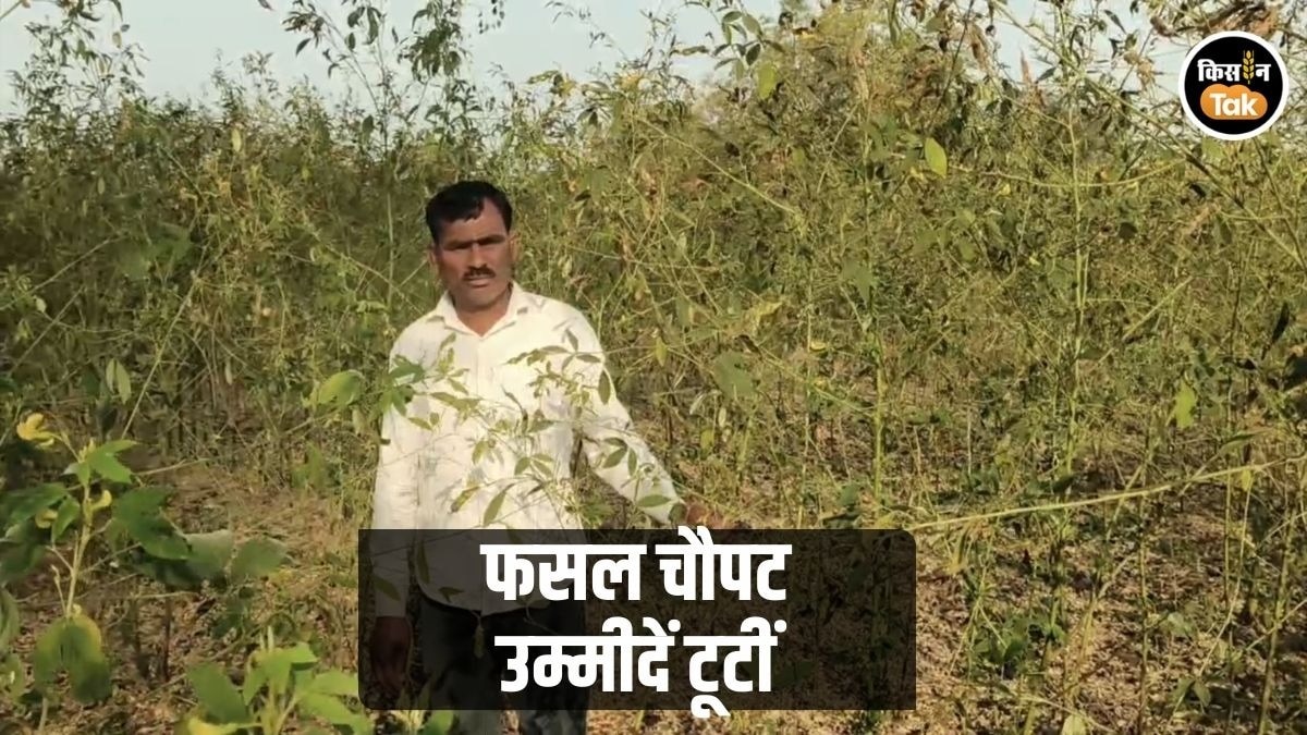 PHOTOS: किसान ने कलेक्ट्रेट के सामने आत्महत्या की दी धमकी, 'नकली बीज' से हुई फसल बर्बाद