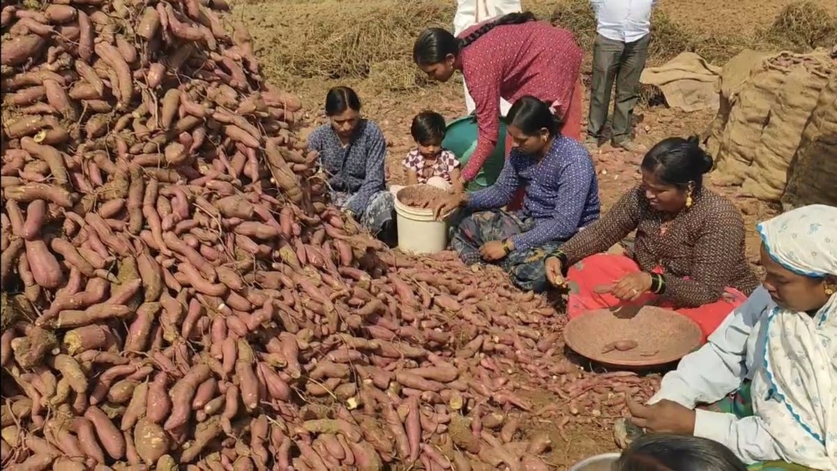 Mahashivratri पर किसानों का बेड़ा पार,  इस चीज का होगा लाखों का कारोबार, ये गांव बना मिसाल