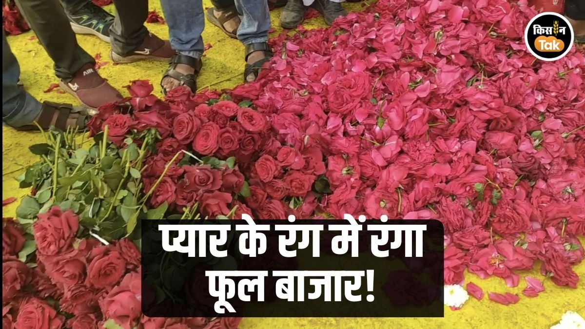 PHOTOS: Valentines Day पर जालना का फूल बाजार गुलजार, गुलाब की जबरदस्त मांग