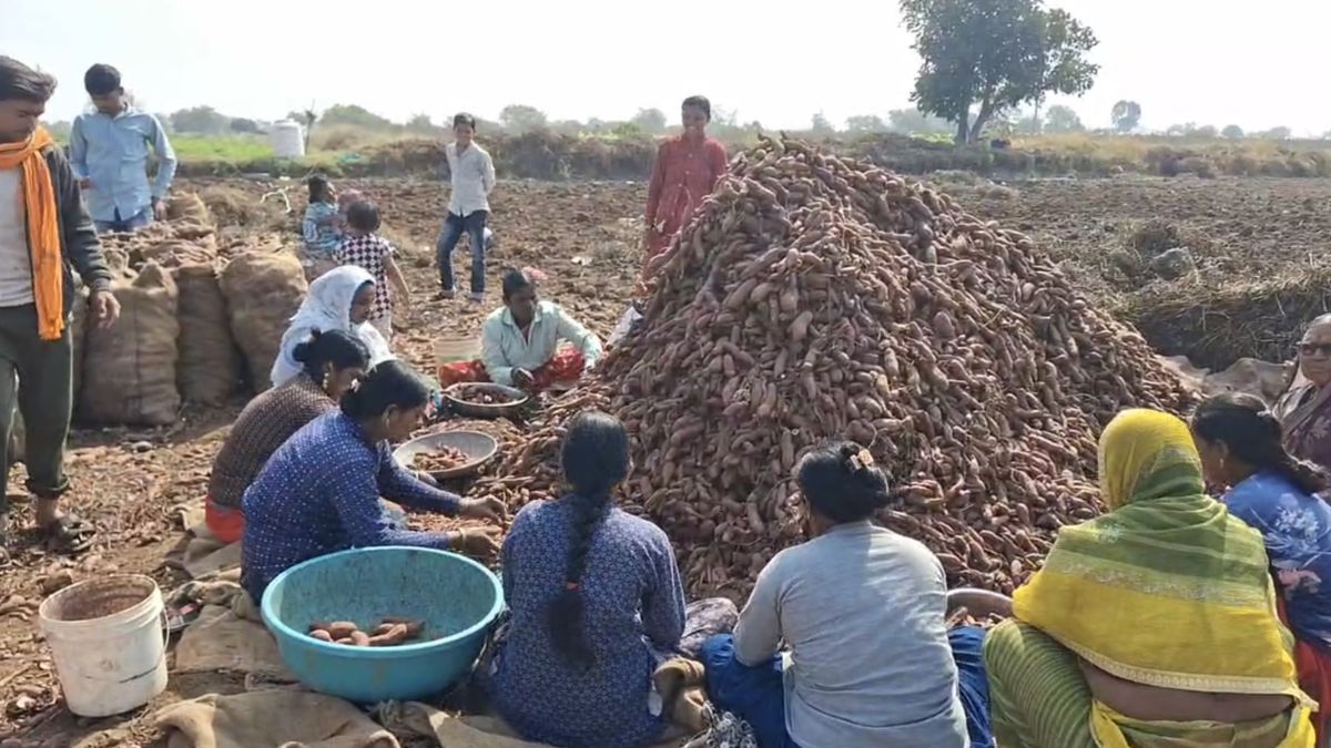 बारिश के कारण उत्पादन में कमी