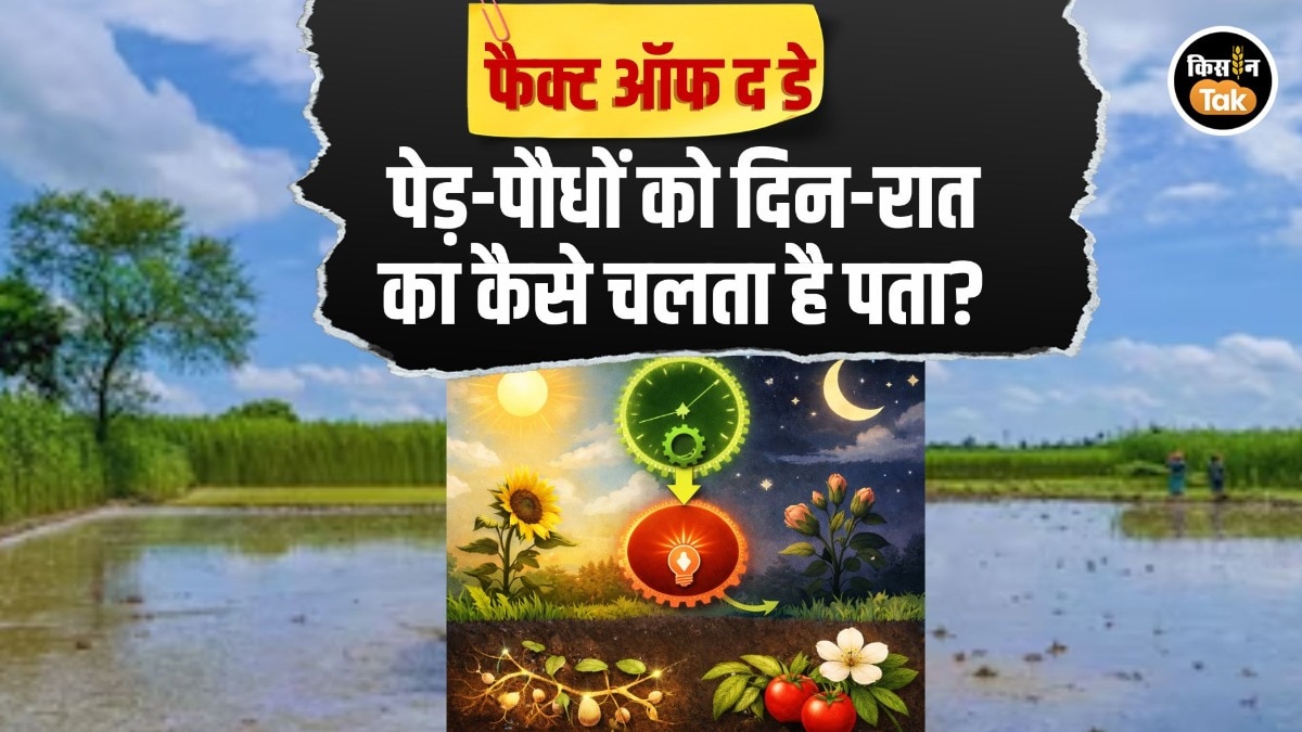 Fact Of The Day: पेड़-पौधों में 'नेचुरल घड़ी' करती है काम, दिन-रात का ऐसे चलता है पता