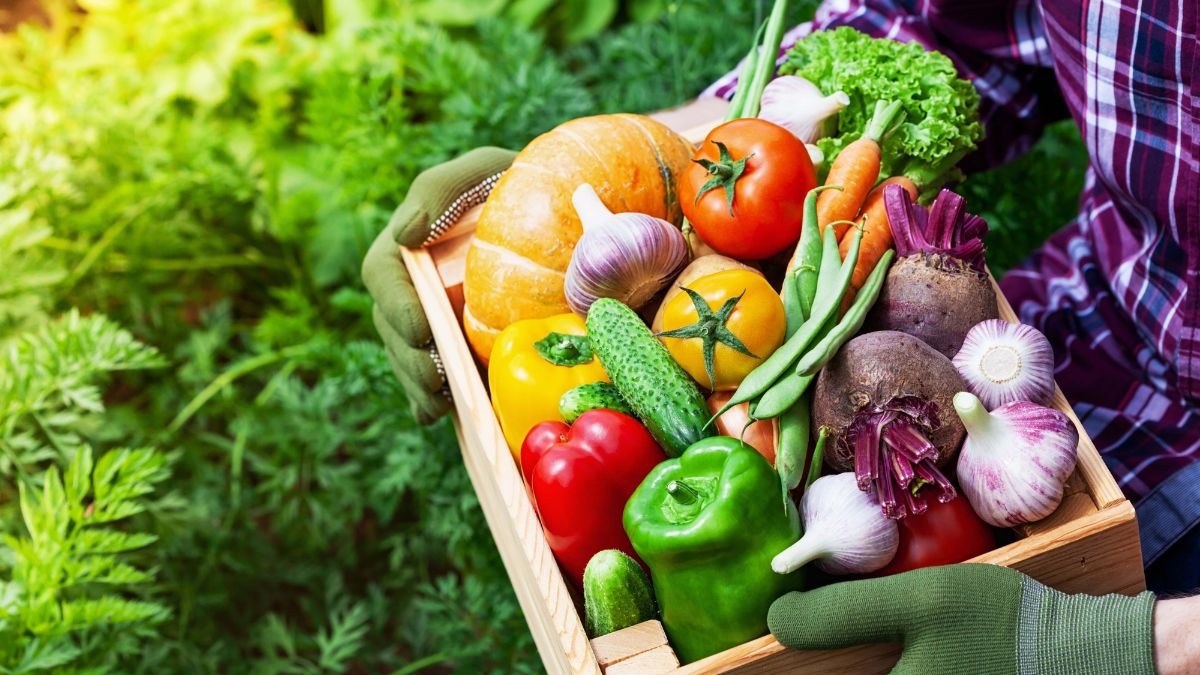 किचन गार्डनिंग