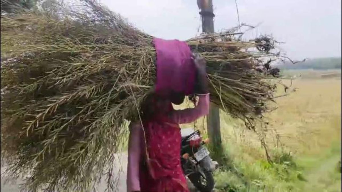 पूरी फसल हो गई बर्बाद