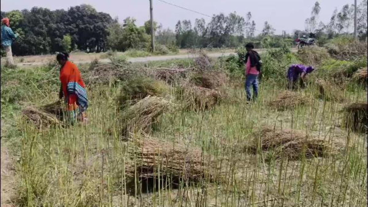 किसानों ने की मुआवजे की मांग