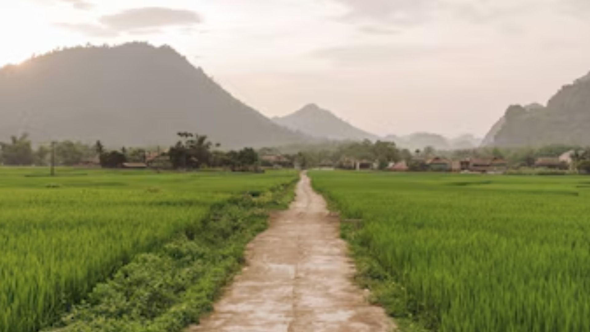 संवेदनशील प्रोटीन भेजता है संकेत