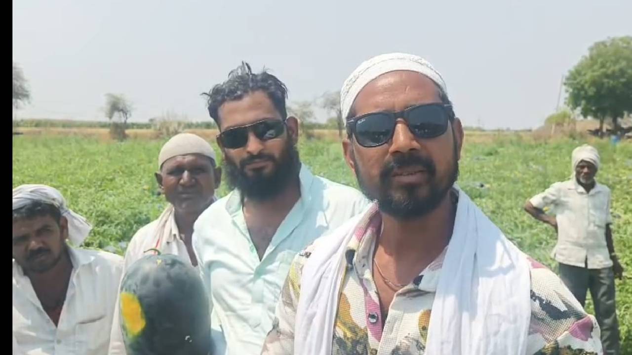 जालना में तरबूज खेती में नुकसान